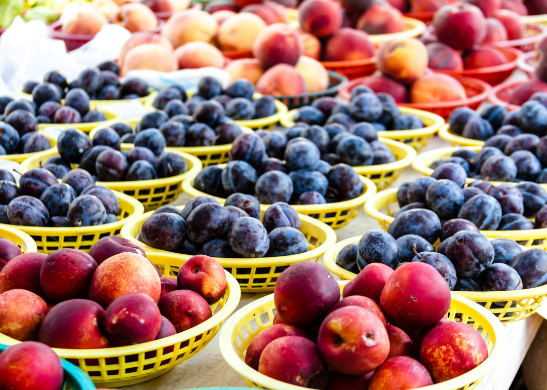Baskets of apricots, plums and peaches on display at a farmer's market.