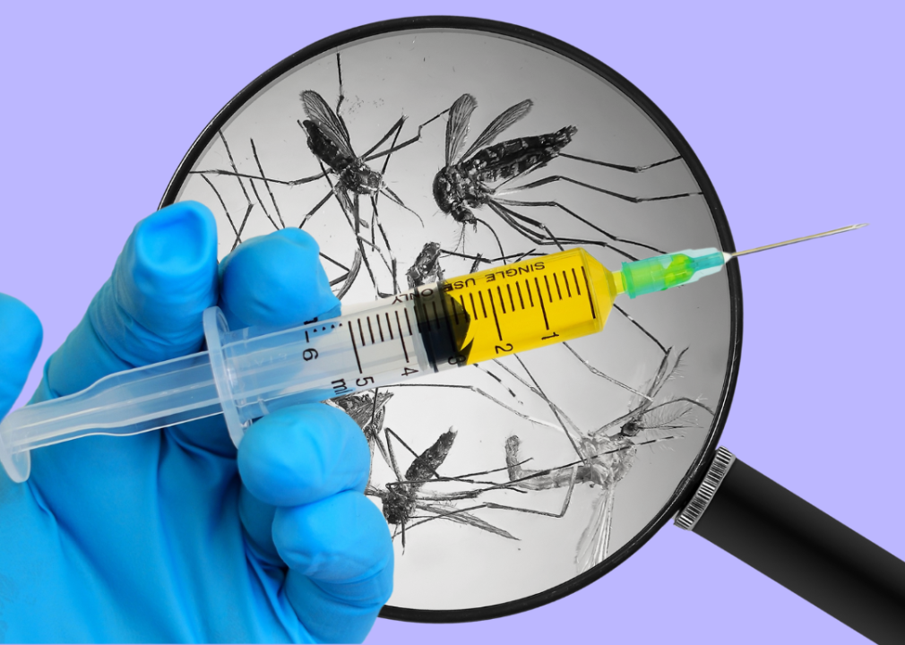 A hypodermic needle is held in front of a magnifying glass looking at mosquitoes.