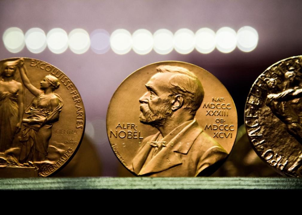 Nobel medals on display at Björkborn