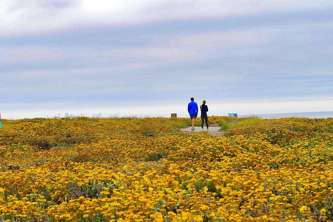 two people walking in montana del oro state park near San Luis Obispo