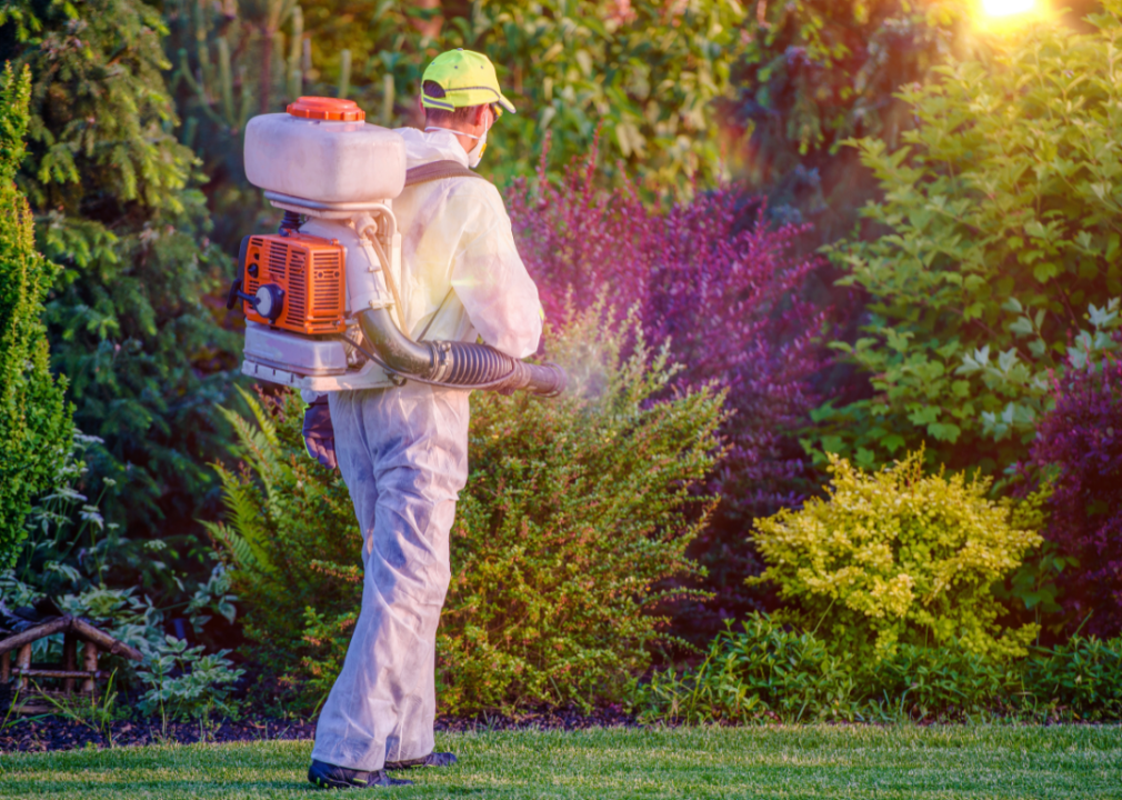 Person wearing protective suit spraying chemicals in yard with plants.