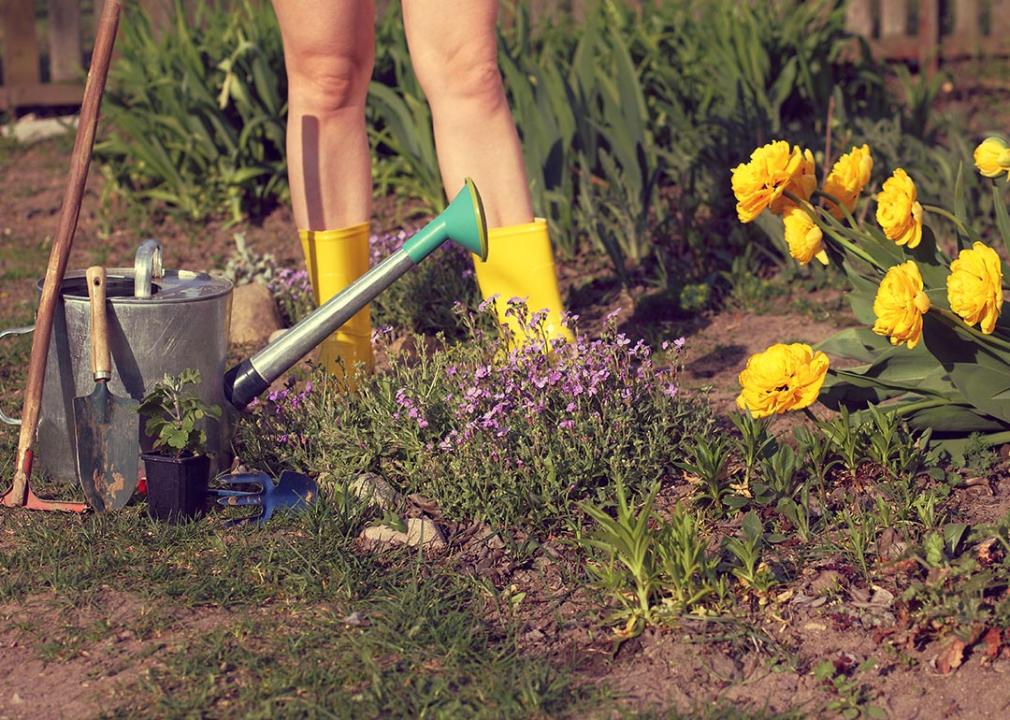 Best cities for naked gardening The Gonzales Inquirer