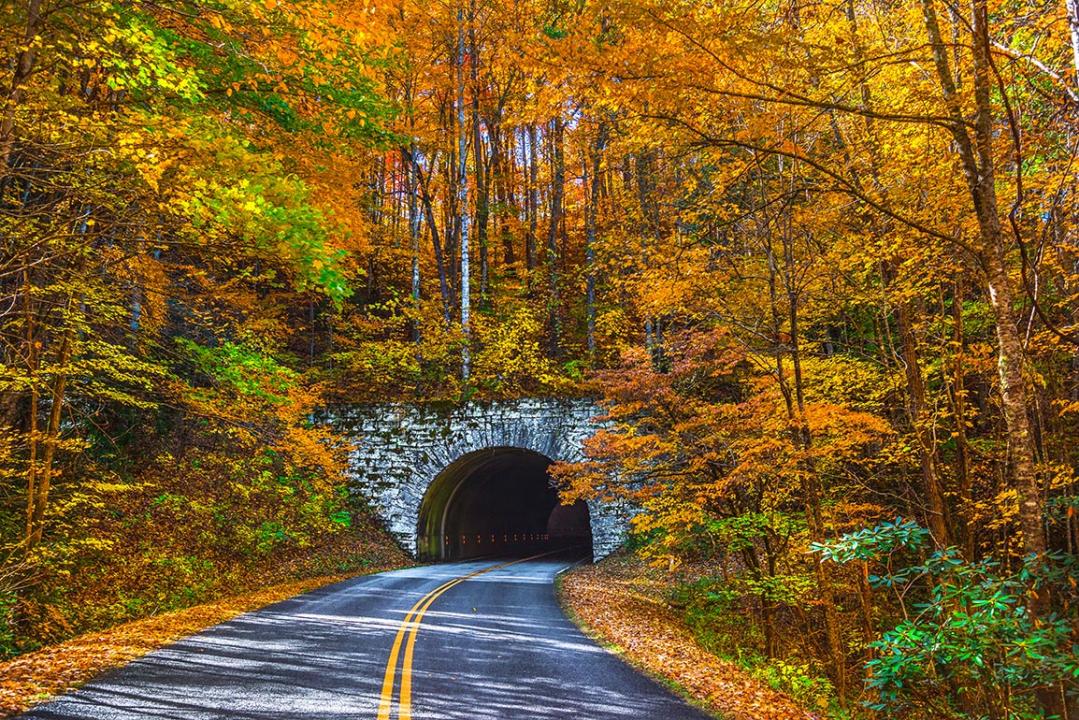 Blue Ridge Parkway Tunnel near Asheville, North Carolina during Autumn.