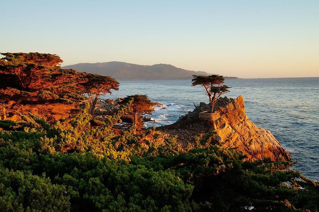 Sunset on the California coast lights the lone cypress on the 17-mile-drive near Carmel-by-the-sea.