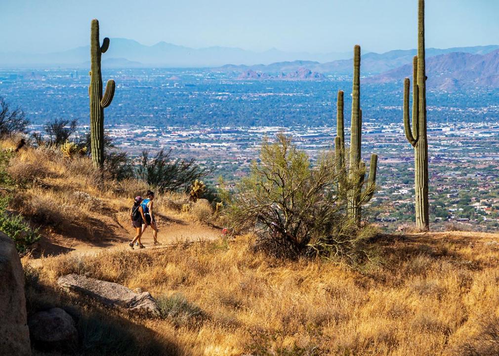 Hikers on an elevated desert trail In Phoenix area with cactus and mountains in background.