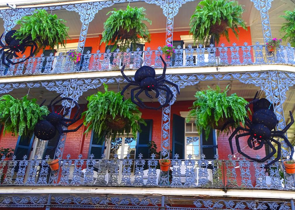 Giant black spiders as halloween decorations.