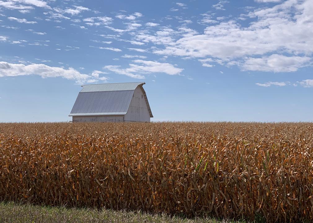 A corn field barn outside of Mount Vernon and Cedar Rapids, Iowa.