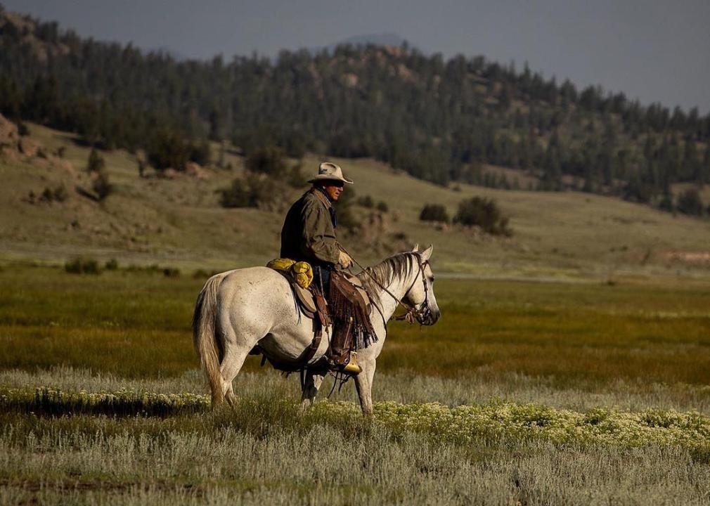 Rancher with cowboy hat on sitting on a white horse in a rural landscape with hills in the background.