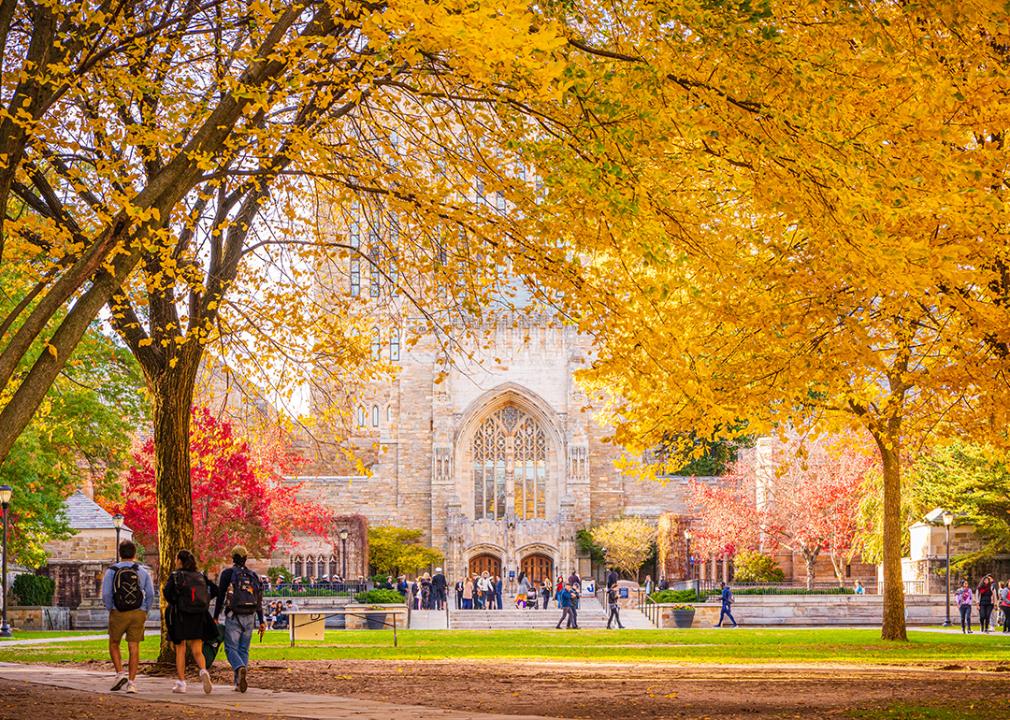 The Sterling Memorial Library at Yale University during the fall season.