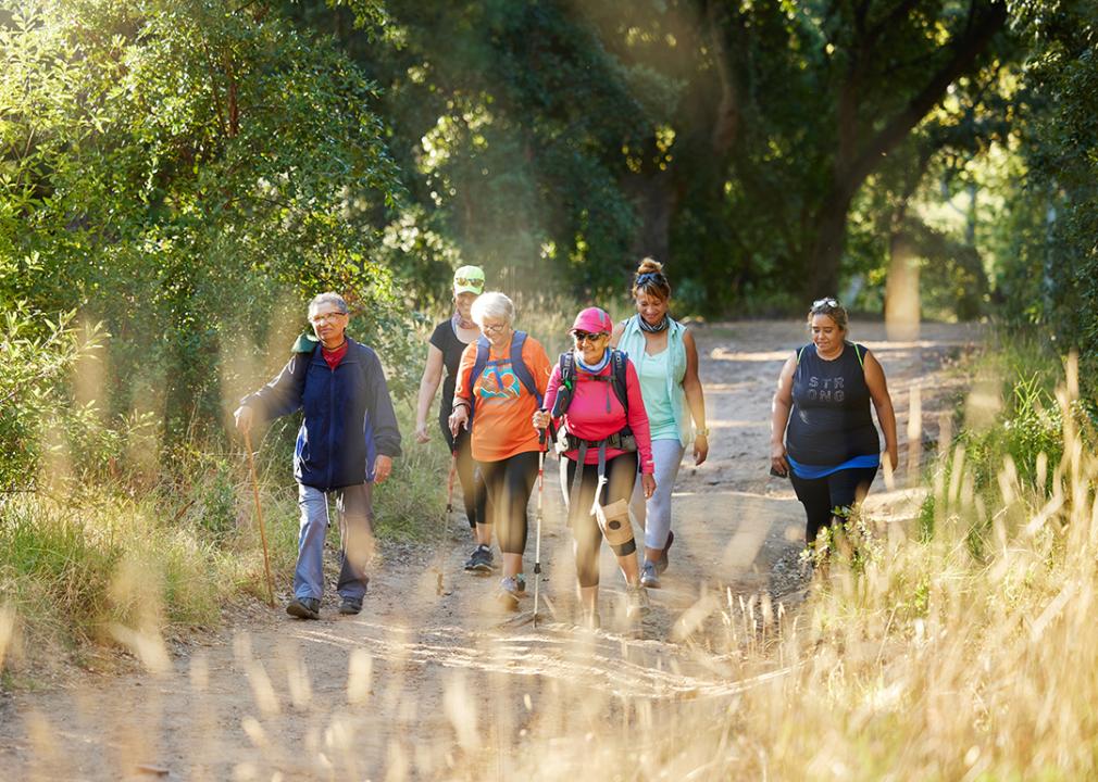 A group of senior women out on a forest hike.