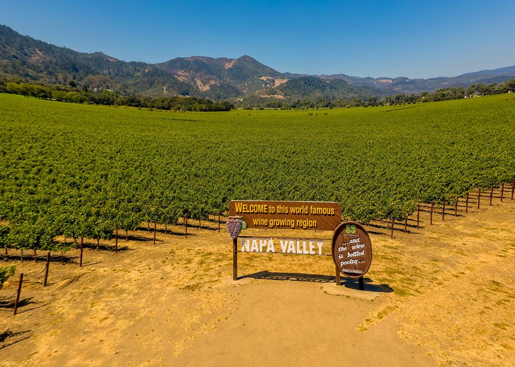 Grape vine fields of Napa Valley, California.