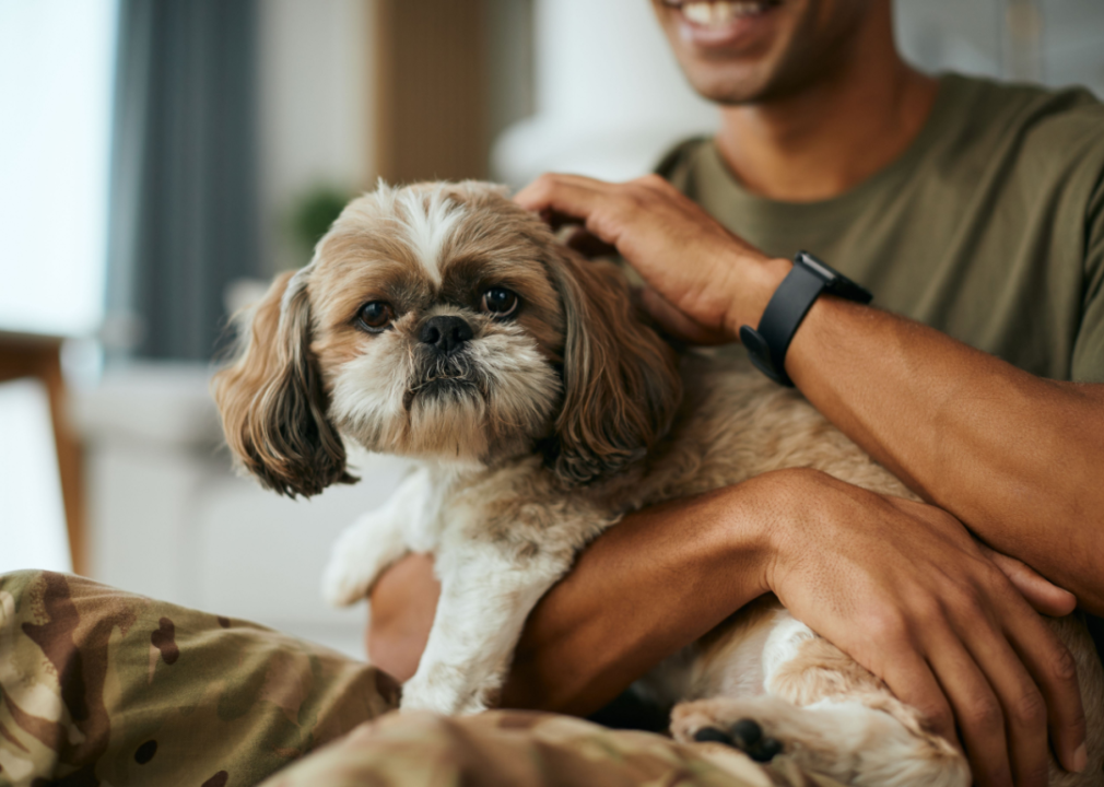 A soldier pets a small dog sitting in his lap.