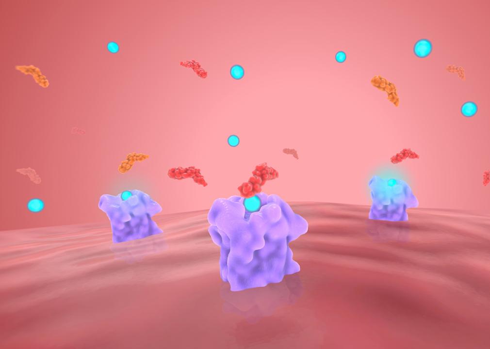 A 3d render illustration of beta blockers inhibiting beta receptors.