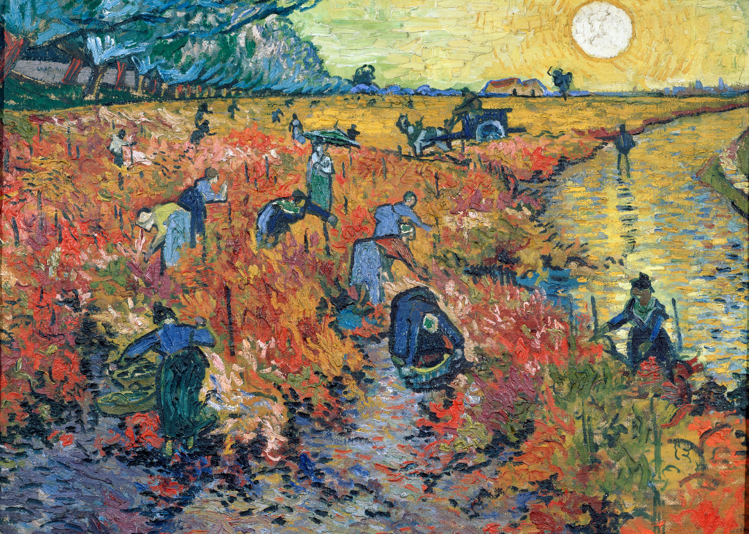 ‘The Red Vineyards at Arles’ by Vincent van Gogh.