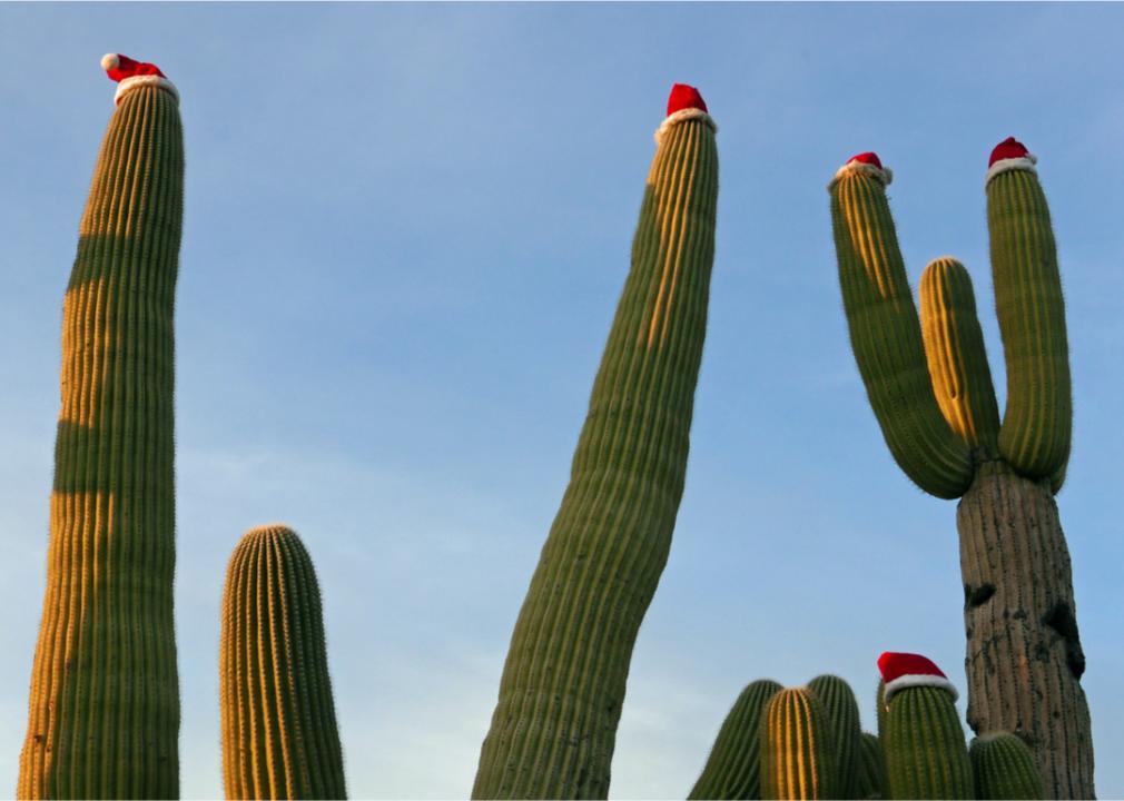 The names of these 2 Arizona towns get us in the holiday spirit