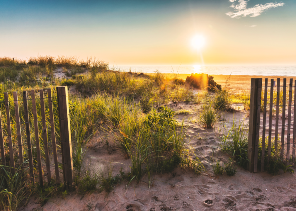 Beach dune at sunrise.