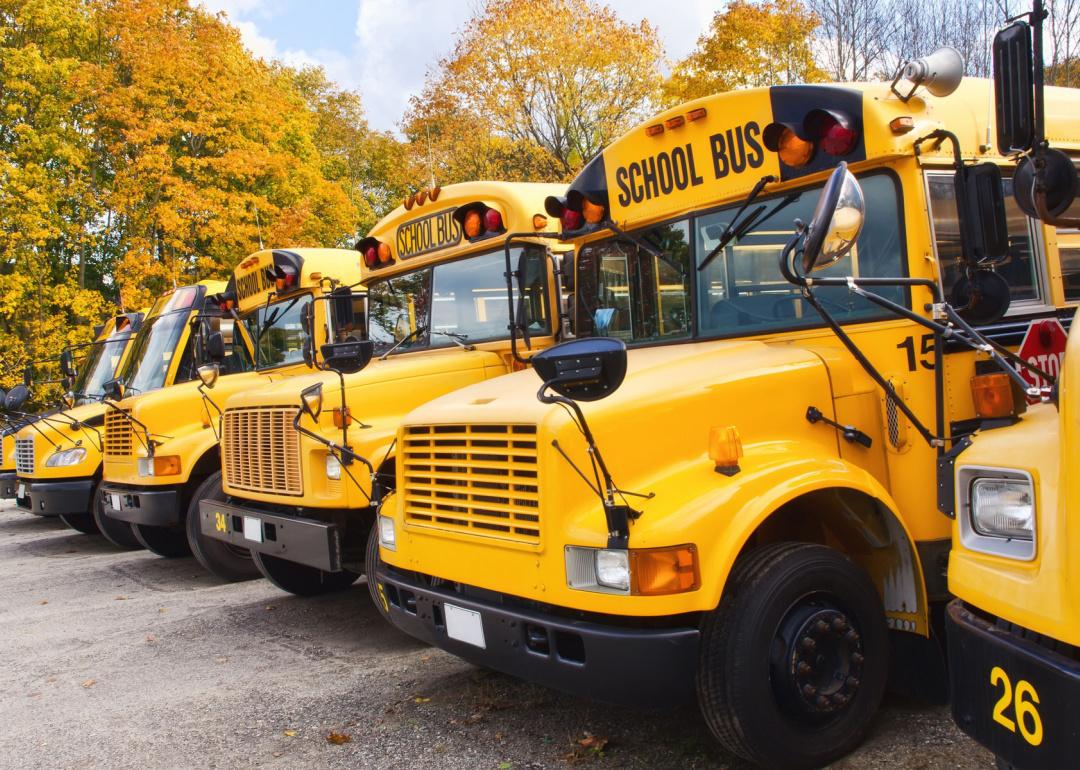 Row of parked yellow school busses.