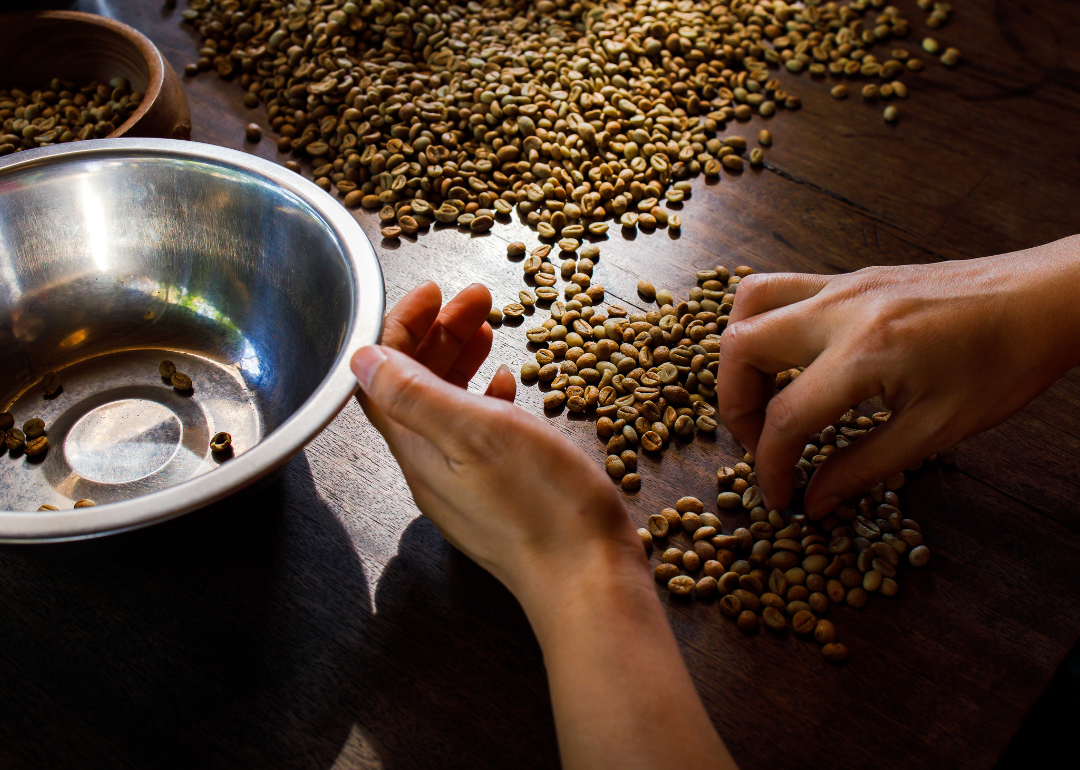 Person inspecting green coffee beans.