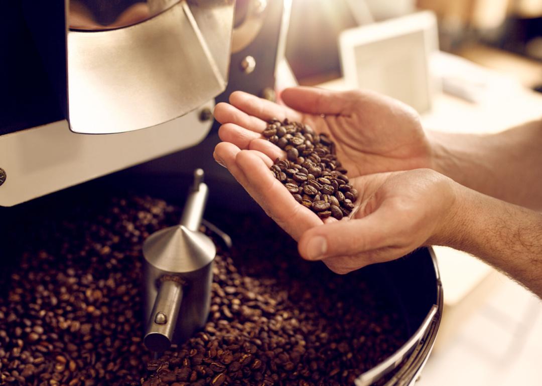 Hands holding fresh roasted beans.