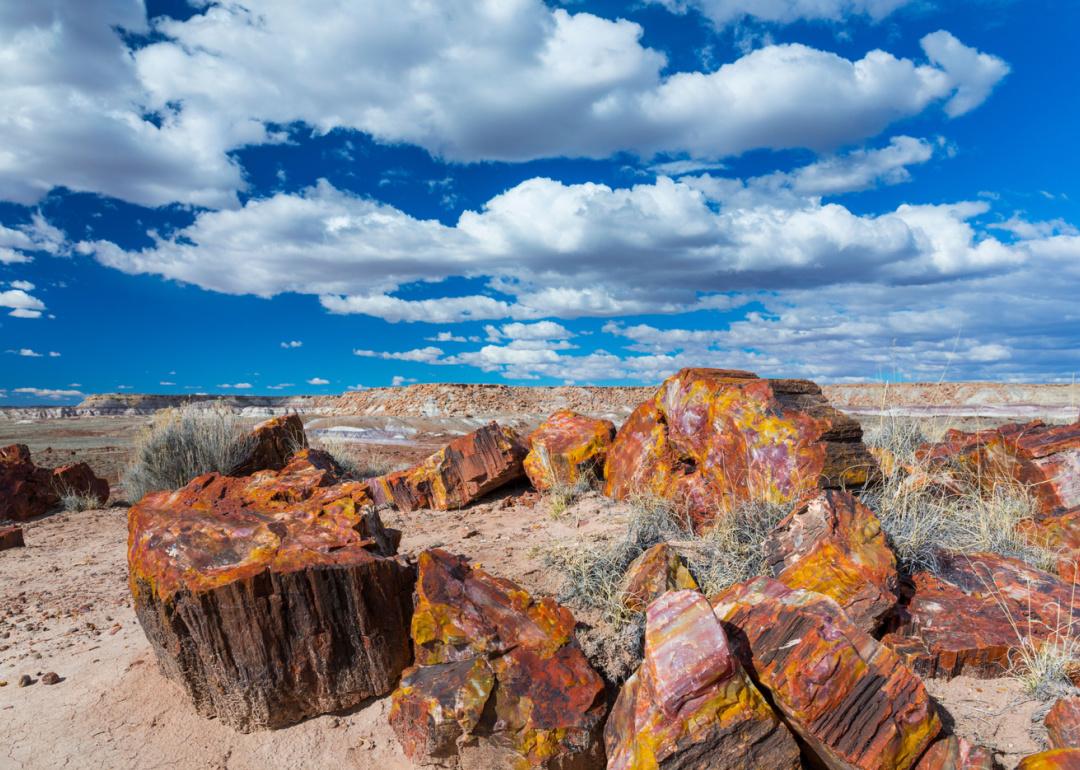 Landscape with petrified wood in Petrified Forest National Park.