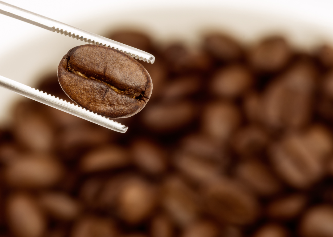 Close up of a single roasted coffee bean.