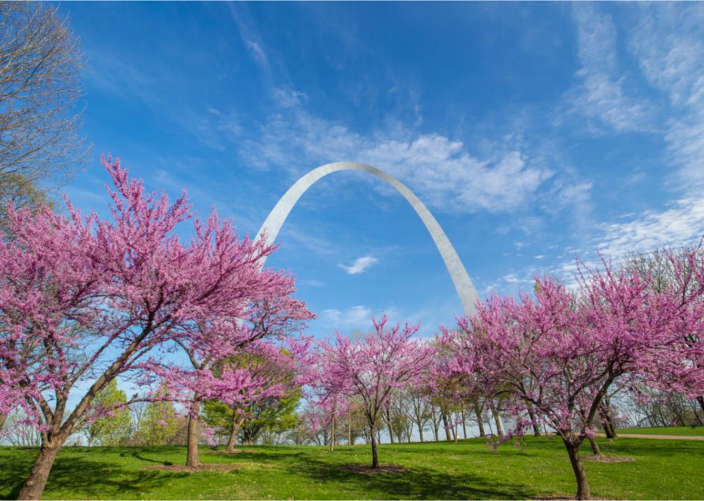 What Spring Looks Like in Every State