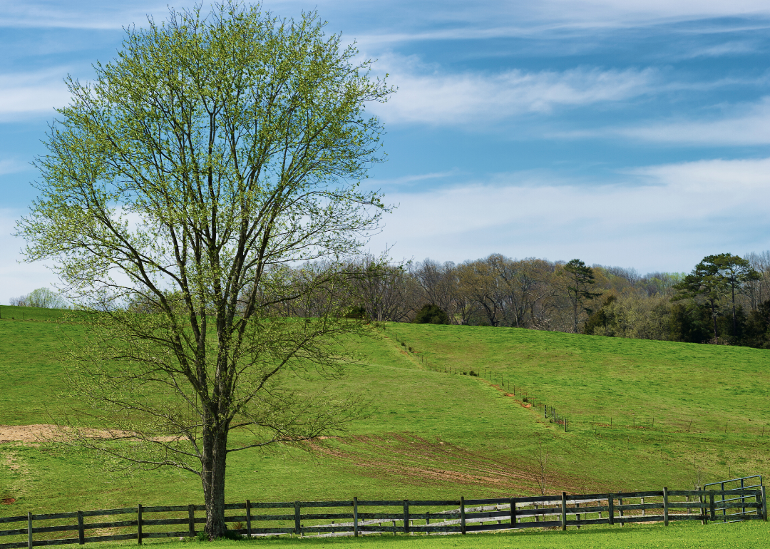 Pasture in rural Tennessee.