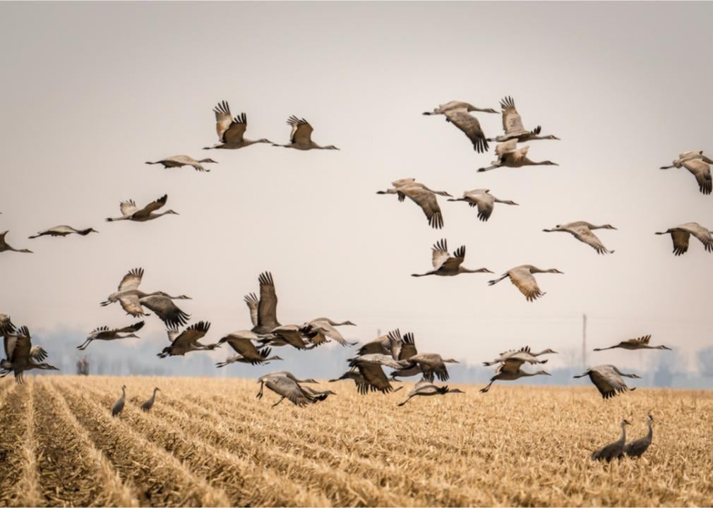 What Spring Looks Like in Every State