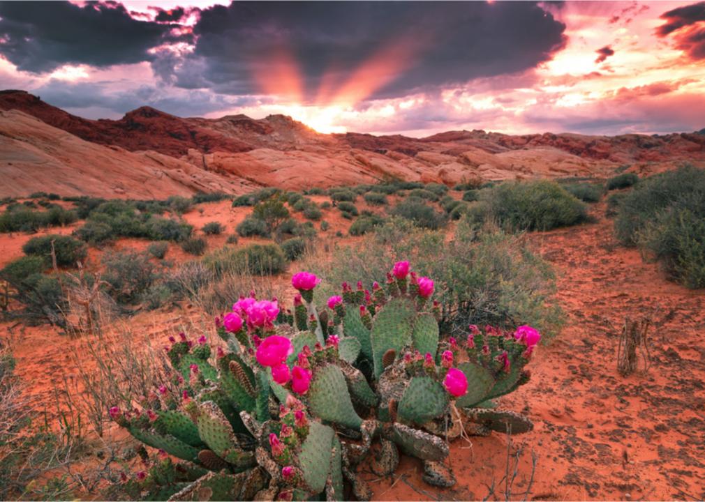 What Spring Looks Like in Every State