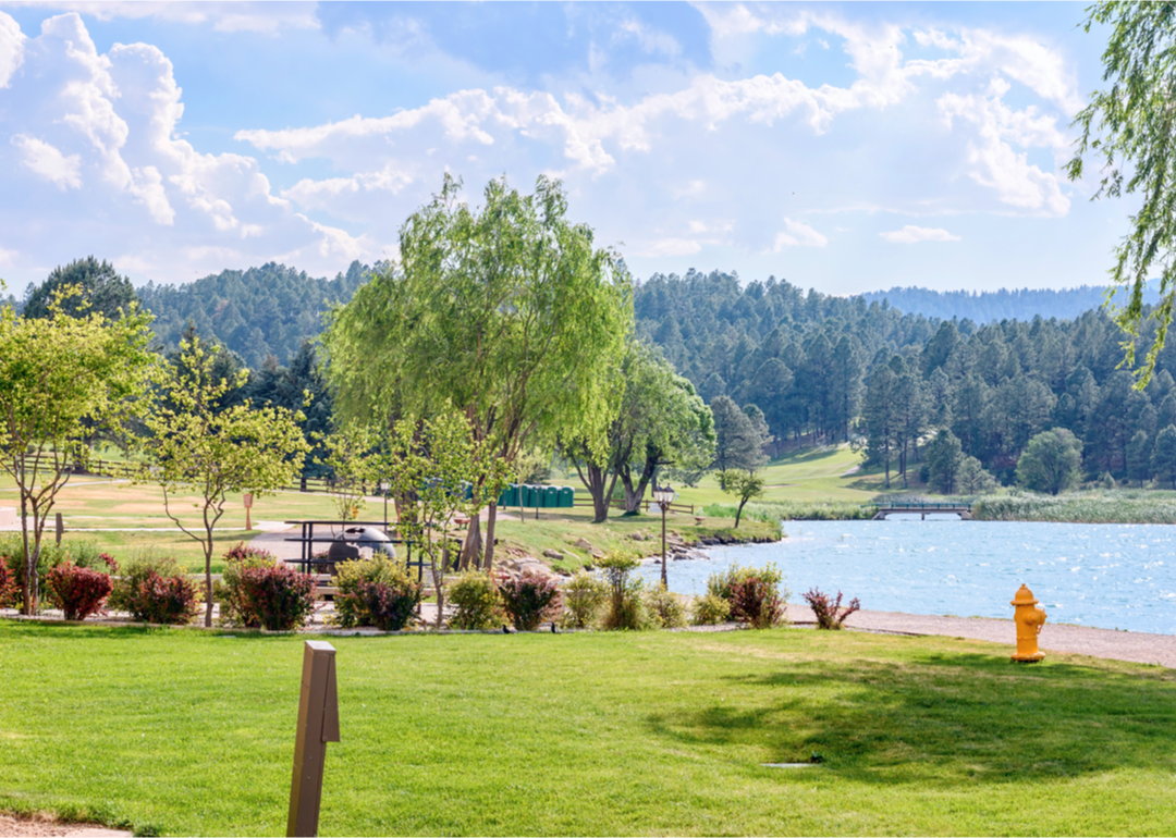 Green fields and trees near water