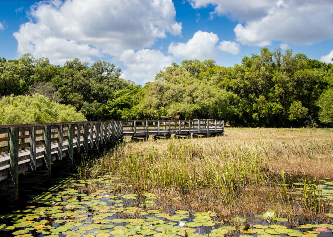 A view of a lake near a wooden bridge in High Point, Florida.