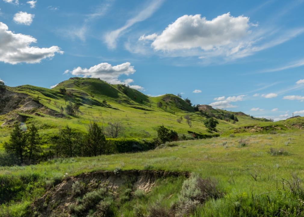 What Spring Looks Like in Every State