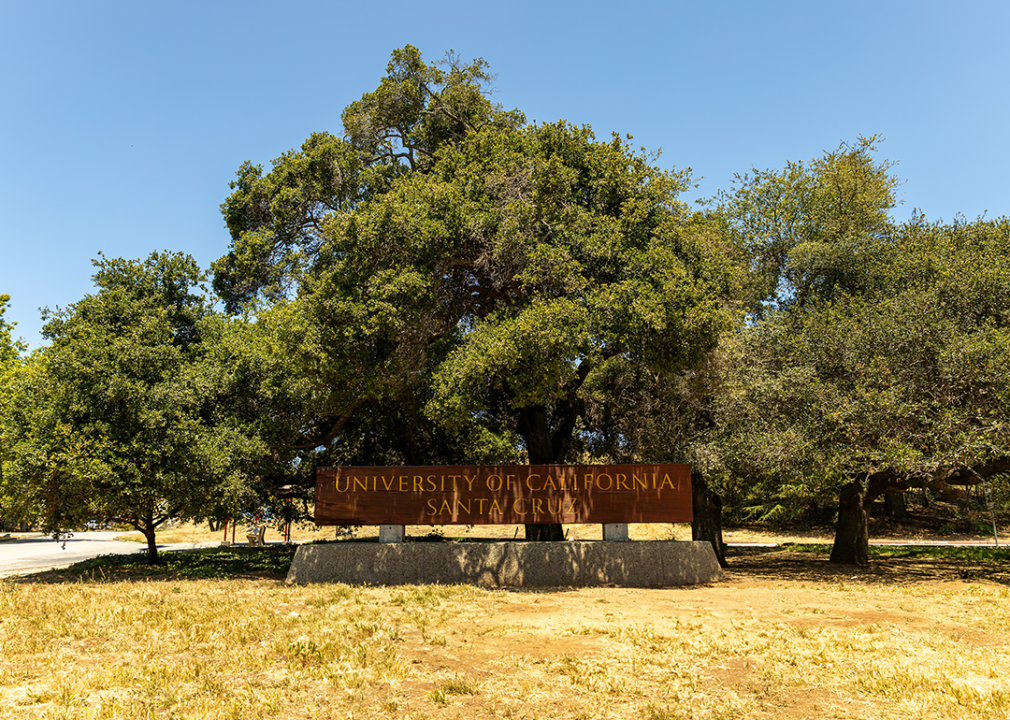 University of Santa Cruz campus entrance sign and tree.