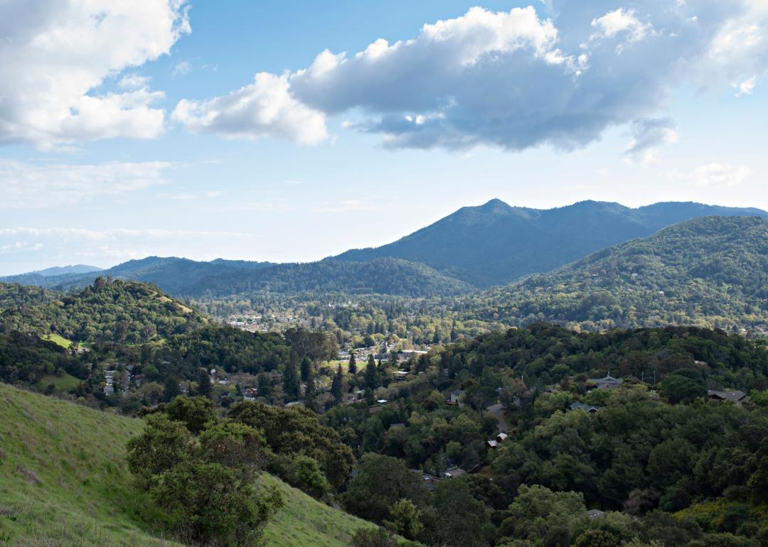 Hills North of Mt. Tamalpais