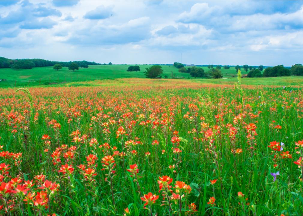 What Spring Looks Like in Every State