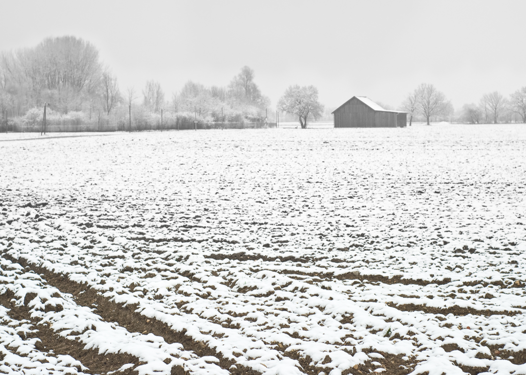 Rural winter farmland.