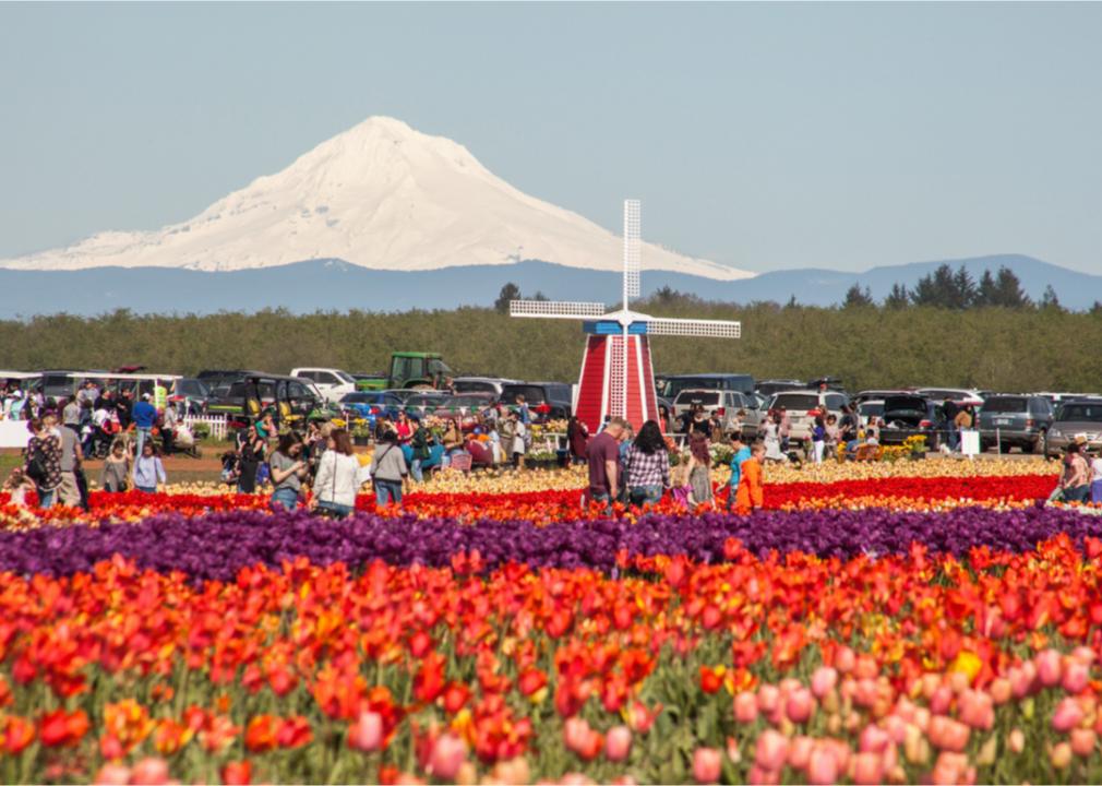 What Spring Looks Like in Every State