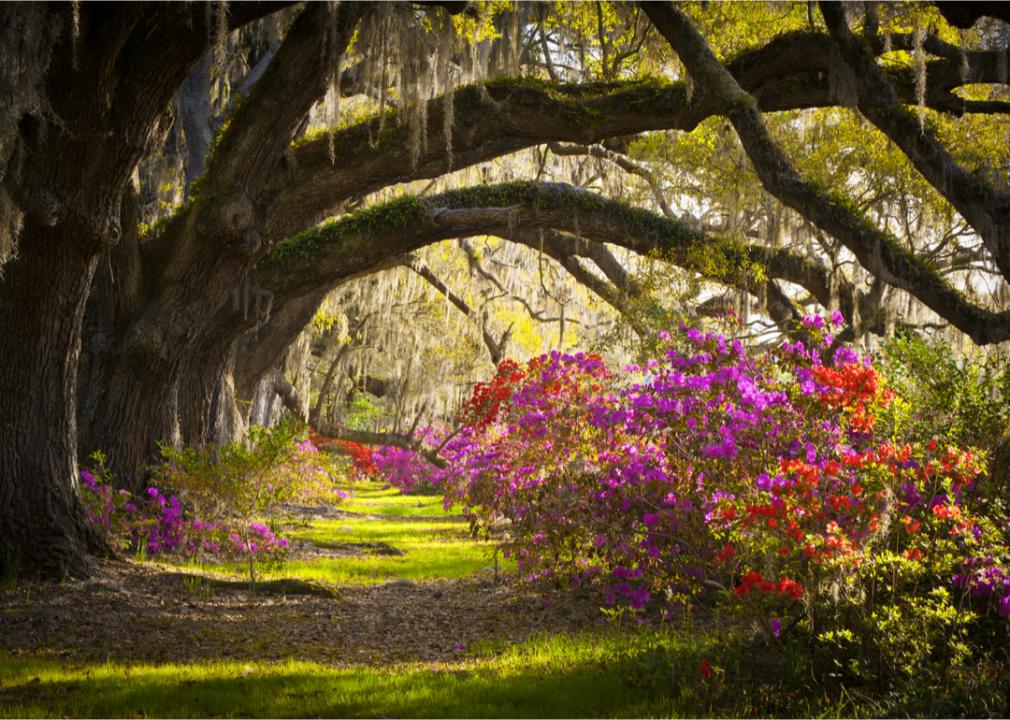 What Spring Looks Like in Every State