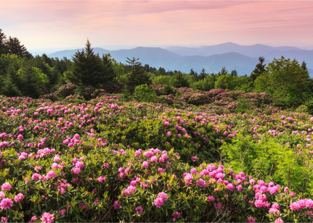 What Spring Looks Like in Every State