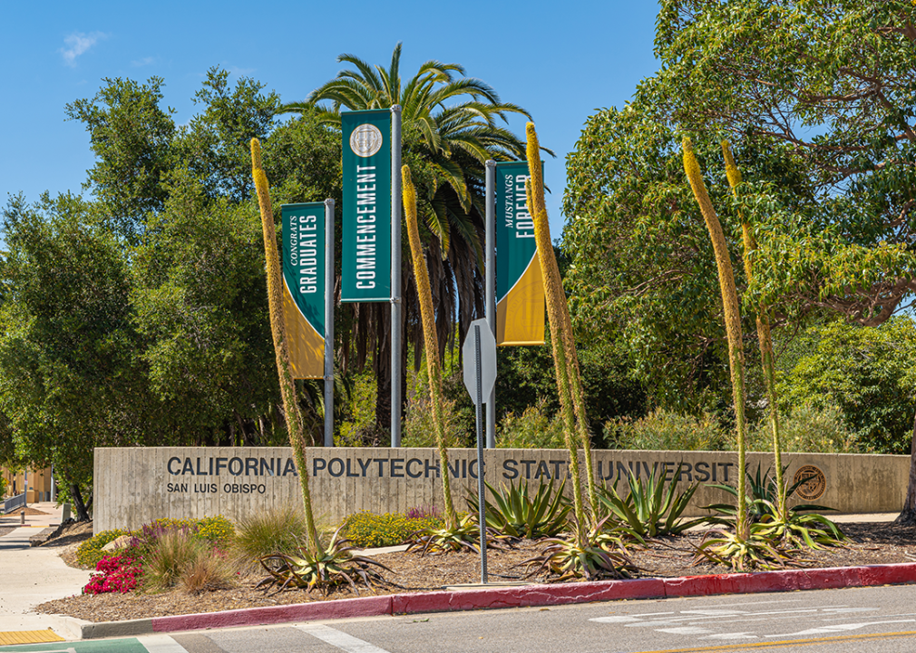 Sign and banners on street at entrance to campus.
