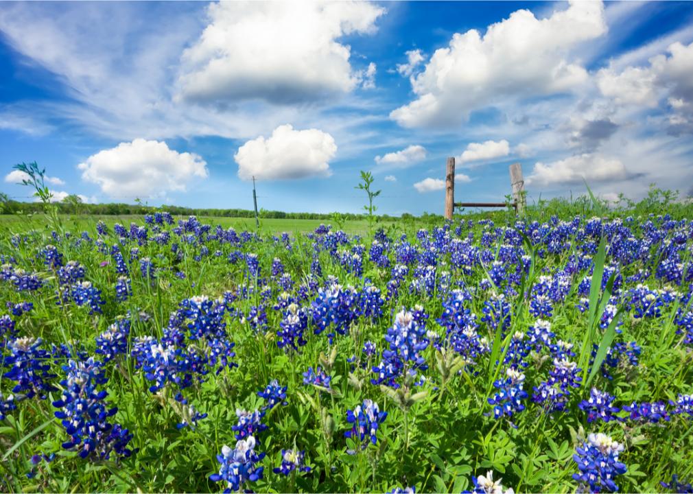 What Spring Looks Like in Every State