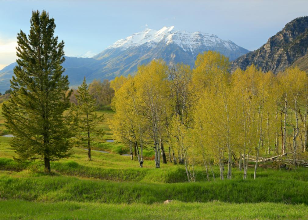 What Spring Looks Like in Every State