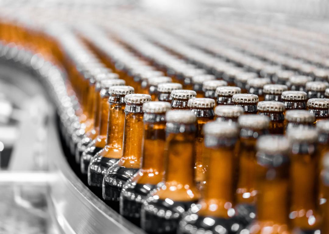 Bottled beer moving along a conveyer for packaging.