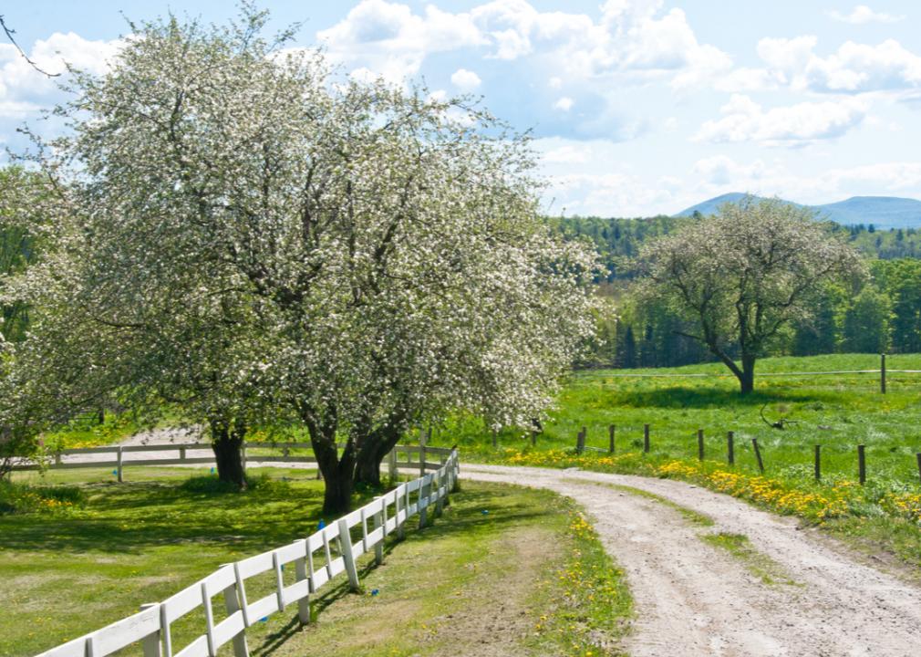 What Spring Looks Like in Every State