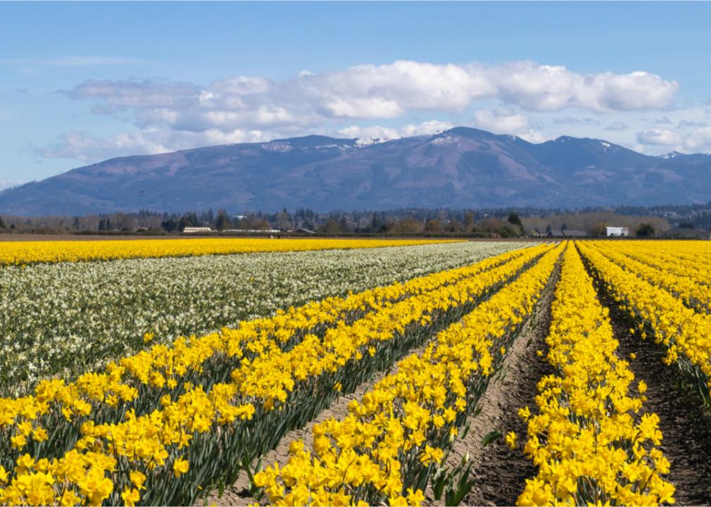 What Spring Looks Like in Every State