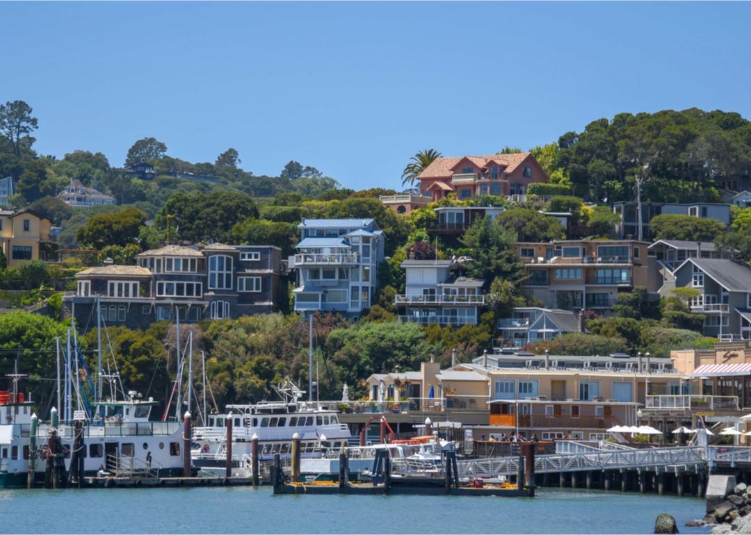 Belvedere marina and coastal residential homes.