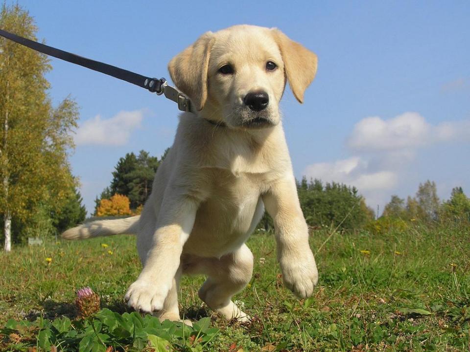 #1. Max