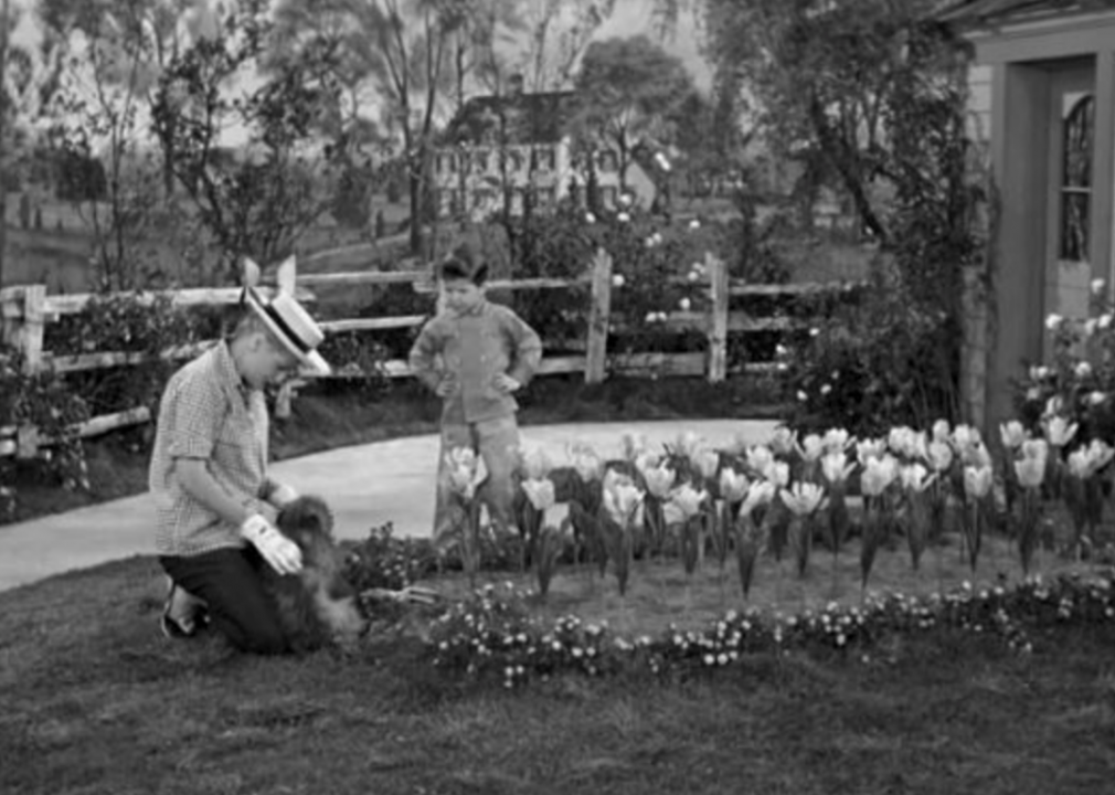 #33. Lucy Raises Tulips (tie)