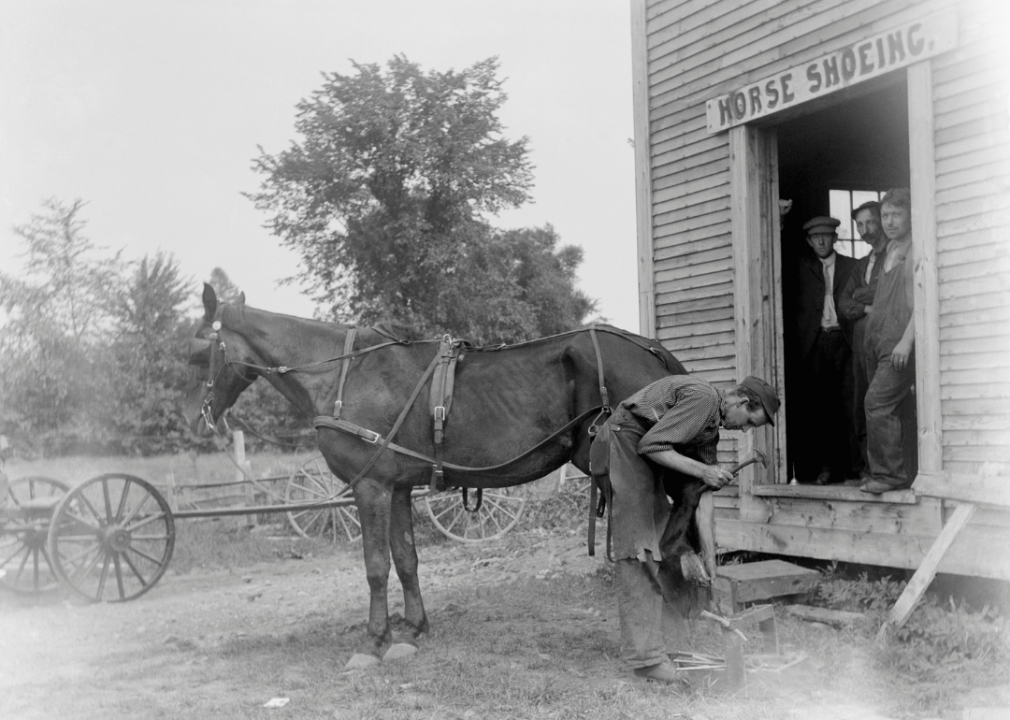 Blacksmith shoeing a horse