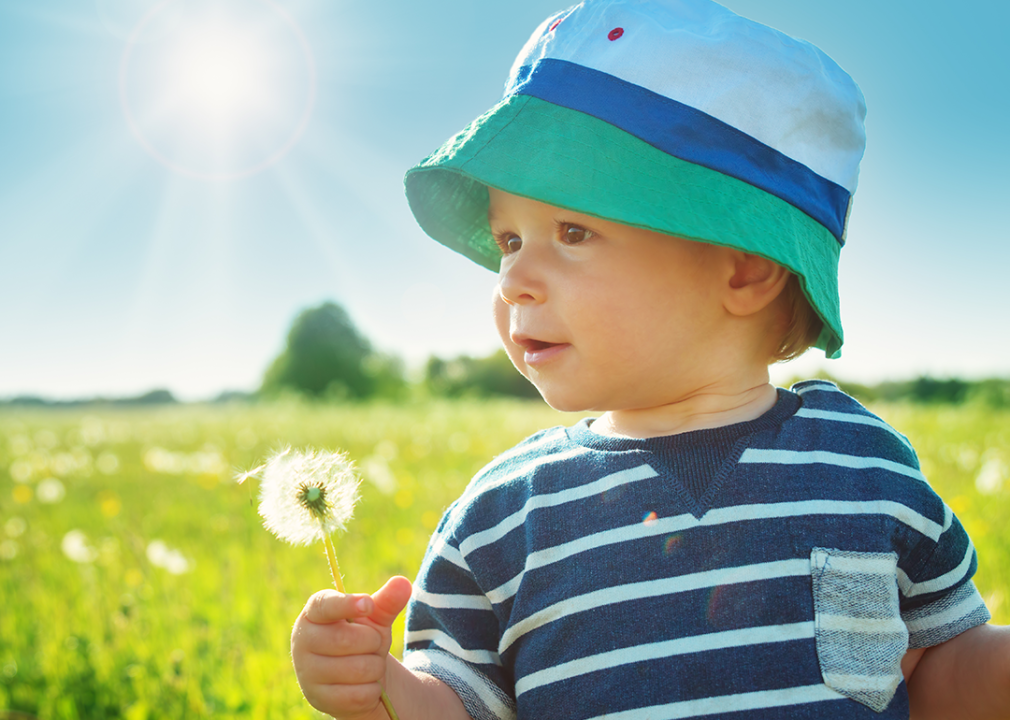 Boy standing in grass with dandelion.